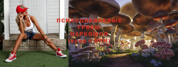 гидра Волосово