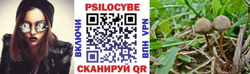 Псилоцибиновые грибы Cubensis  Липецк 